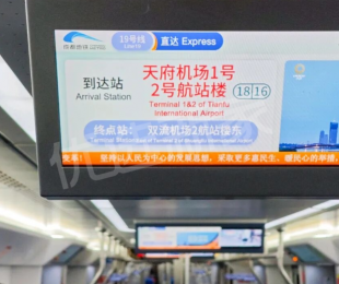 效果图