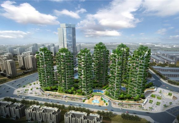 七一城市森林花园