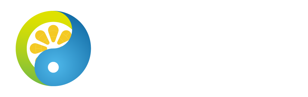道果科技