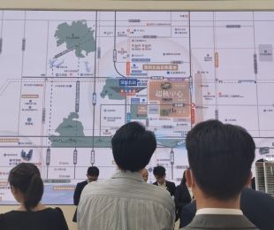 样板图